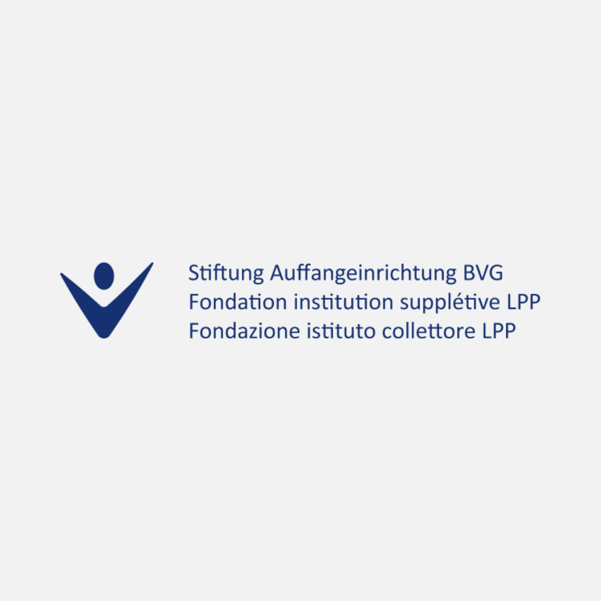 BVG-Logo-grey