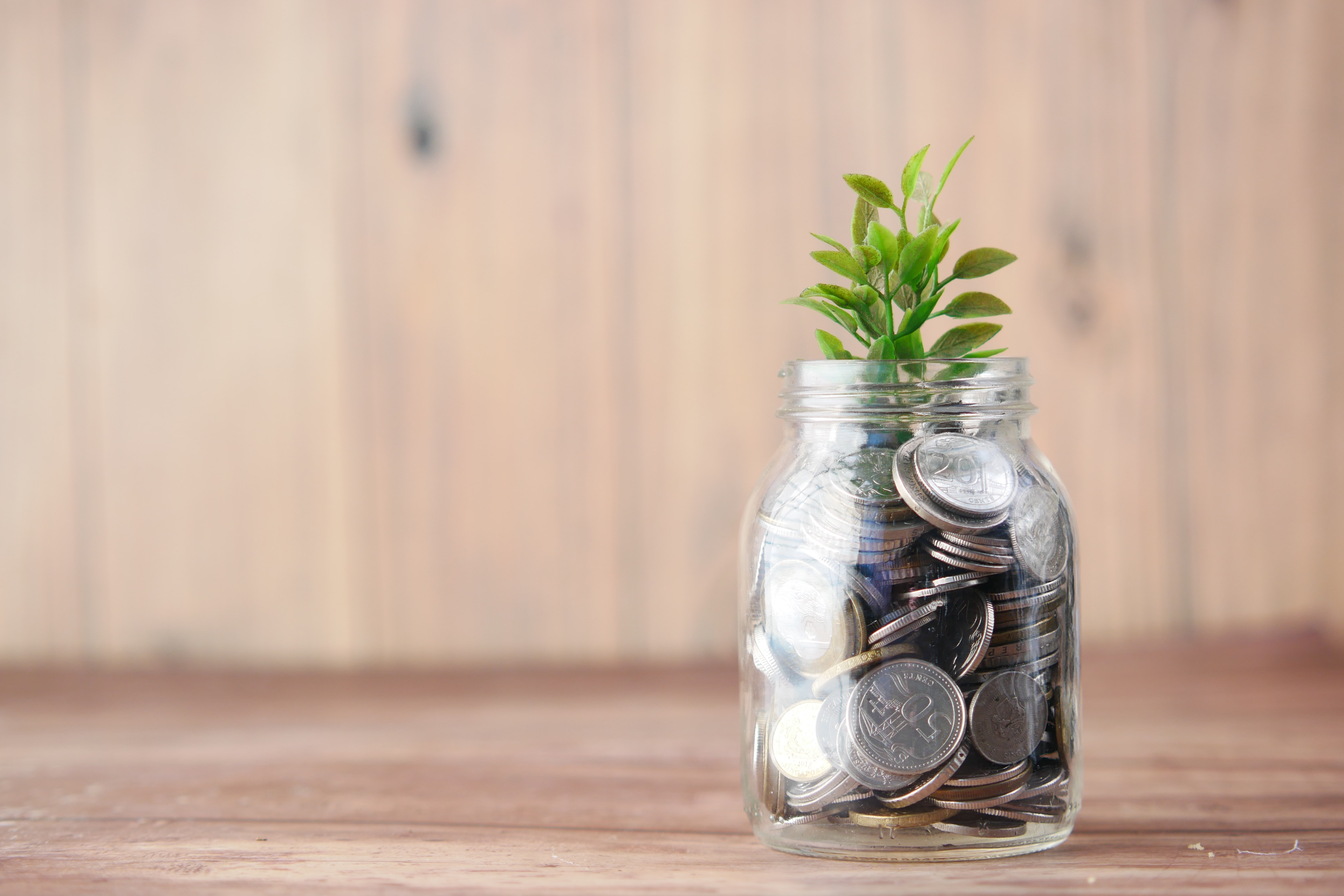 KYC CHECK Pennies and Plant in a jar