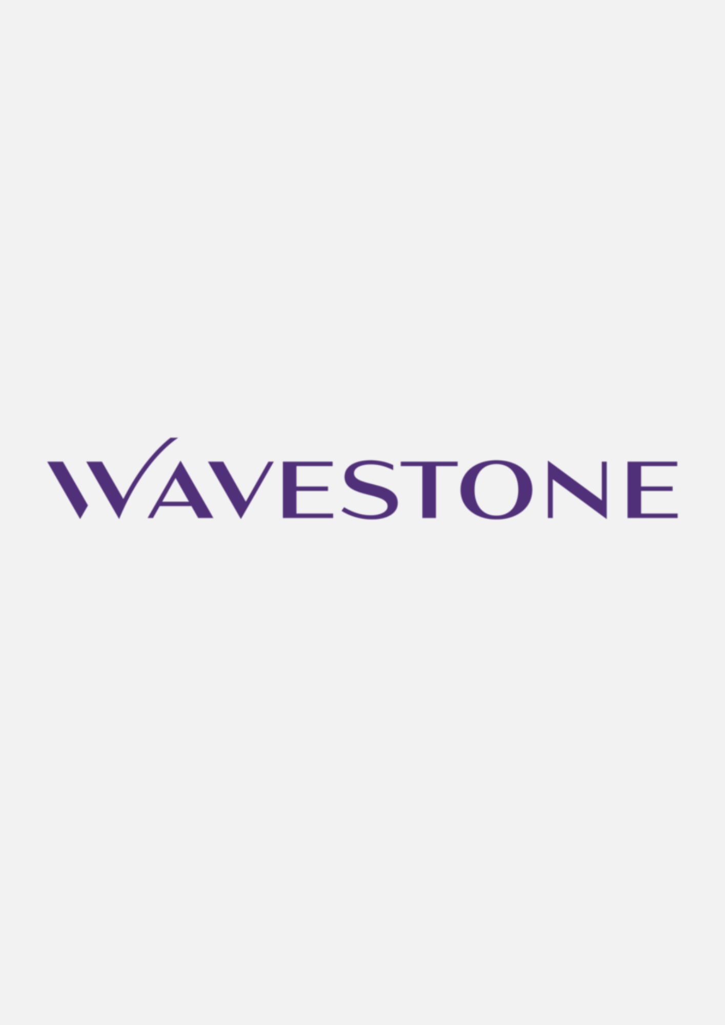 Wavestone - Partner Logo