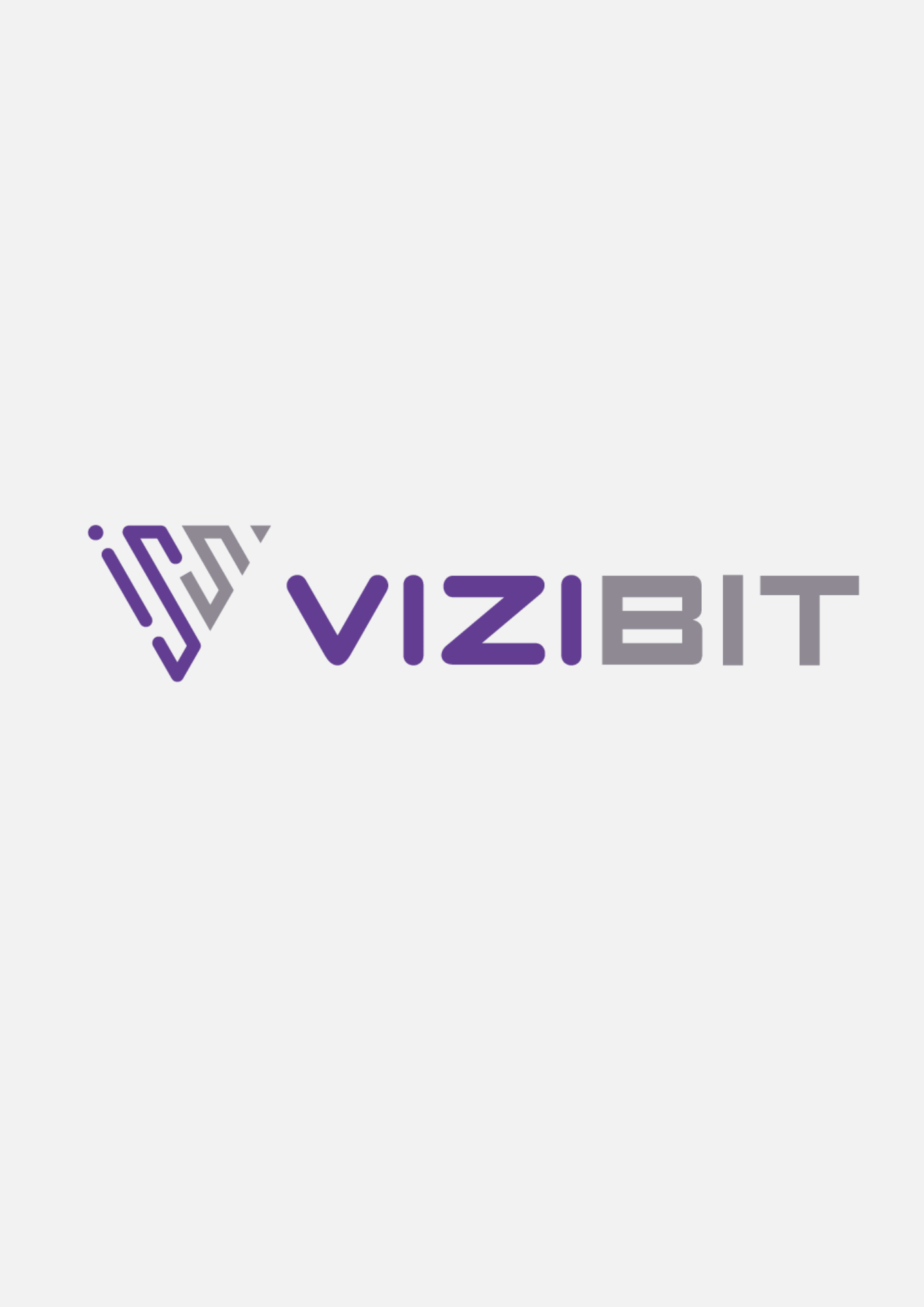 Vizibit - Partner Logo